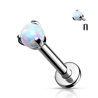 TIT1077-OP17 Piercing do brady - labreta titan