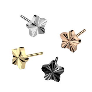 TIT1245-TI Hvězdička k PUSH IN piercingu TITAN
