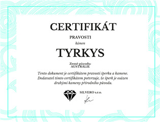 NB-1167 Dámský stříbrný náramek s tyrkysem
