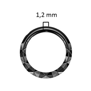 K01072K-1208 Piercing kruh segment