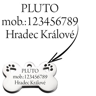 PZ036 Ocelová psí známka - kost