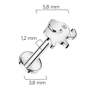 TIT1312-1206 Piercing do brady slon - TITAN