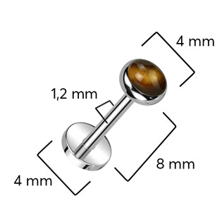 TIT1320 Piercing do brady - PUSH IN labreta TITAN