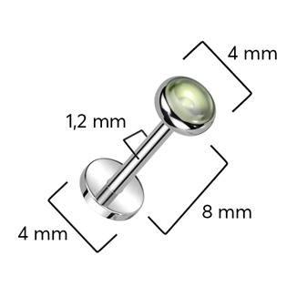 TIT1323 Piercing do brady - PUSH IN labreta TITAN