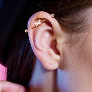 ID01031-ST Industrial piercing - motýlek