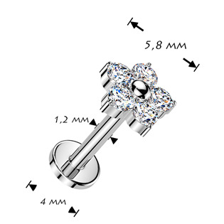 TIT1646-1206 Piercing do brady - PUSH IN labreta TITAN