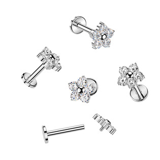 TIT1646-1206 Piercing do brady - PUSH IN labreta TITAN