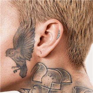 TIT1134-1206 Piercing do brady / ucha TITAN