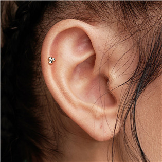 TIT1123-1206 Piercing do brady - PUSH IN labreta titan