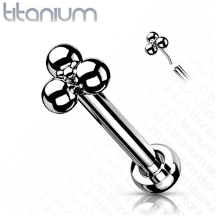TIT1123-1206 Piercing do brady - PUSH IN labreta titan