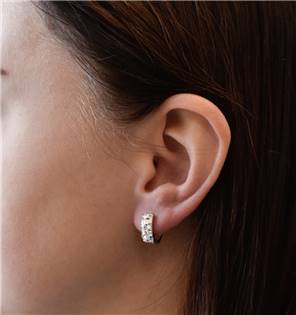 EG2009-CAB Stříbrné náušnice s krystaly Crystals from Swarovski® AB