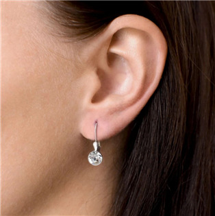 EG2015-CR Stříbrné náušnice s krystaly Crystals from Swarovski® Crystal