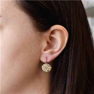 EG2055-GD Stříbrné náušnice s krystaly Crystals from Swarovski® Gold