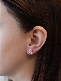 EG3204-P Sada šperků s krystaly Swarovski, Light Rose