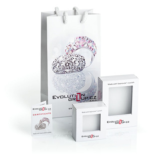 EG9178-CR Stříbrné náušnice s krystaly Swarovski, Crystal