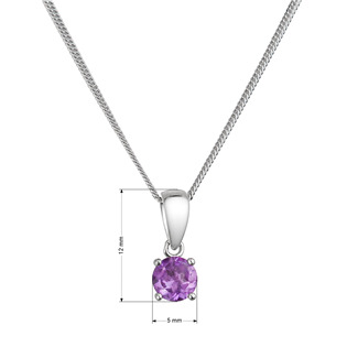 EVAM002 Stříbrný náhrdelník s pravým amethystem