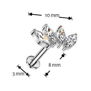 TIT1624 Piercing do brady - PUSH IN labreta TITAN