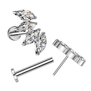 TIT1624 Piercing do brady - PUSH IN labreta TITAN