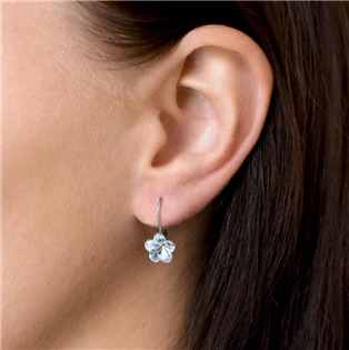 EG3057-CR Sada stříbrných šperků s kytičkami Crystals from Swarovski® Crystal