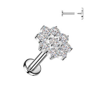 LB1163-1206 Piercing do brady kytička