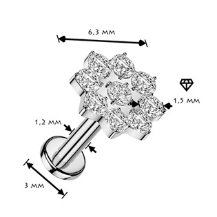 LB1163-1208 Piercing do brady kytička