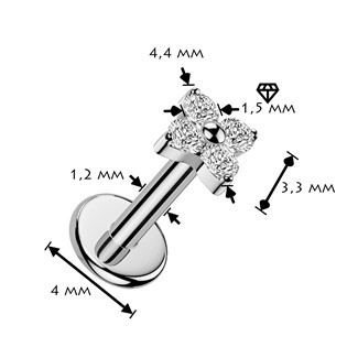TIT1744-1208 Piercing do brady - labreta TITAN