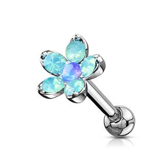 CP1040-A Cartilage piercing do ucha kytička