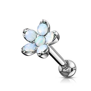 CP1040-A Cartilage piercing do ucha kytička