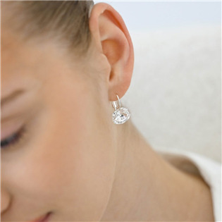 EG2036-C Stříbrné náušnice s krystaly Crystals from Swarovski® Crystal