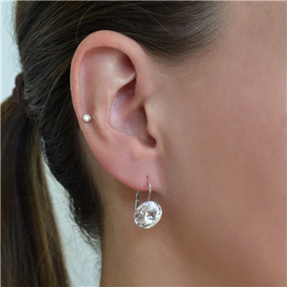 EG2036-C Stříbrné náušnice s krystaly Crystals from Swarovski® Crystal