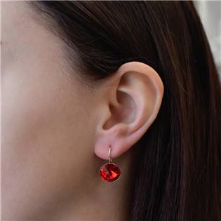 EG2036-SI Stříbrné náušnice s krystaly Crystals from Swarovski® Siam