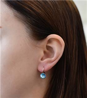 EG2500-AQ Stříbrné náušnice s Crystals from Swarovski® Aqua