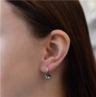 EG2500-BD Stříbrné náušnice s Crystals from Swarovski® Black Diamond