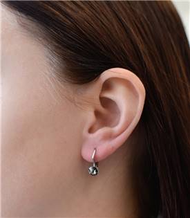 EG2501-BD Stříbrné náušnice s Crystals from Swarovski® Black Diamond