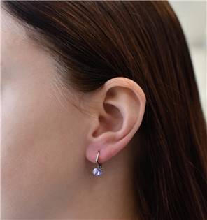 EG2501-VI Stříbrné náušnice s Crystals from Swarovski® Violet