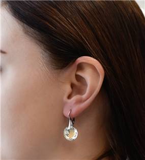 EG2872 Stříbrné náušnice visací s krystaly Swarovski ab efekt kulaté 31296.2