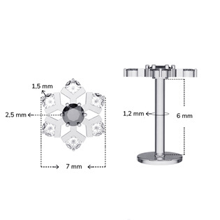 LB040 Labreta - piercing do brady