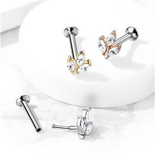 LB1085-1208-C Piercing do brady - lísteček