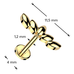 LB1119-1208 Piercing do brady labreta / cartilge
