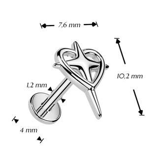 LB1157-1206 Piercing do ucha nebo brady - labreta