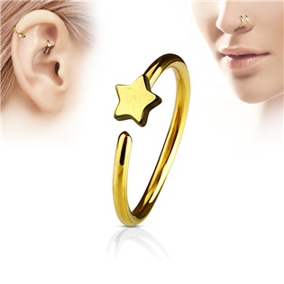 N0053-GD Piercing do nosu/ucha kruh s hvězdou