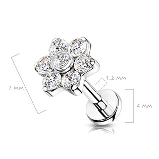 TIT1137-1206 Piercing do brady / ucha TITAN