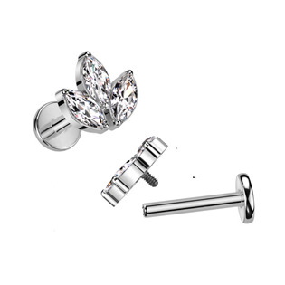 TIT1262A-1208 Piercing do brady - labreta TITAN