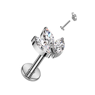 TIT1262R-1208 Piercing do brady - labreta TITAN