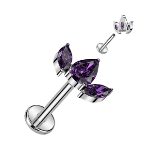 TIT1277-C Piercing do brady - labreta TITAN