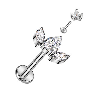 TIT1277-C Piercing do brady - labreta TITAN