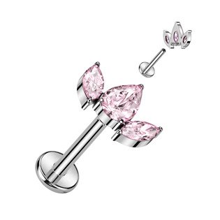 TIT1277-C Piercing do brady - labreta TITAN