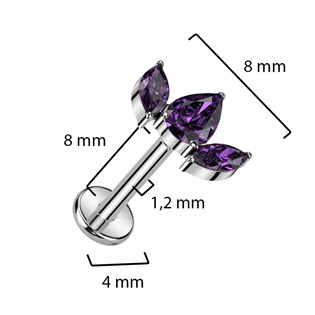 TIT1277-C Piercing do brady - labreta TITAN