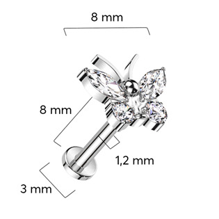 TIT1326-C Piercing do brady - labreta TITAN