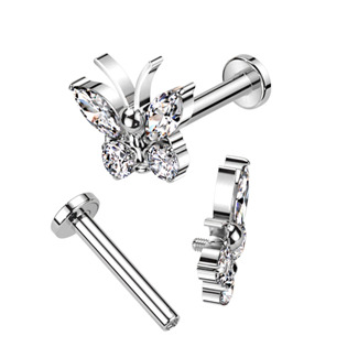 TIT1326-C Piercing do brady - labreta TITAN